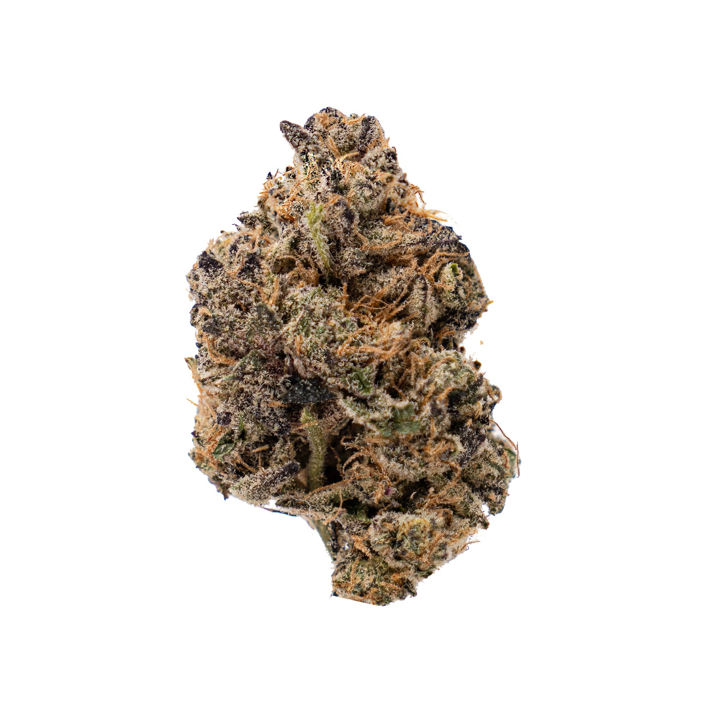 LA ZOO 14g